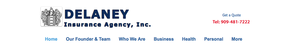 Insurance Coverage For Any NeedDelaney Insurance Agency